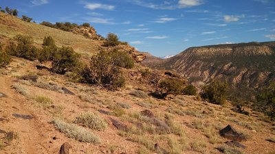Steep climbs and descents along the rim of the Gunny Gorge.
