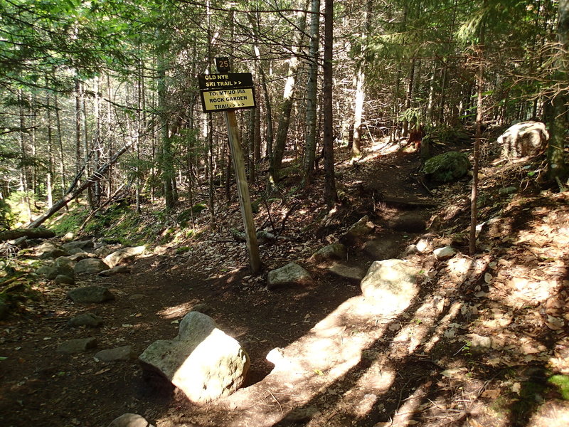 Turn off to the unmaintained trail to Street and Nye.