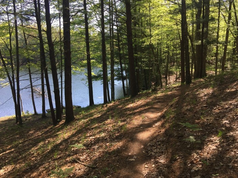 Nice lake view on Easiest Loop trail.