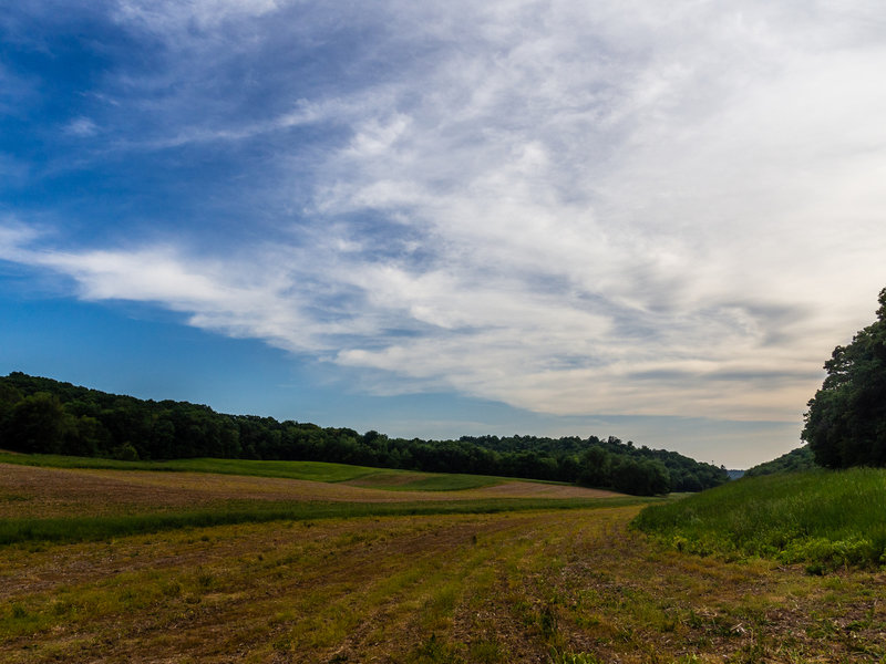 Fields and forests in Natural Bridge State Park.