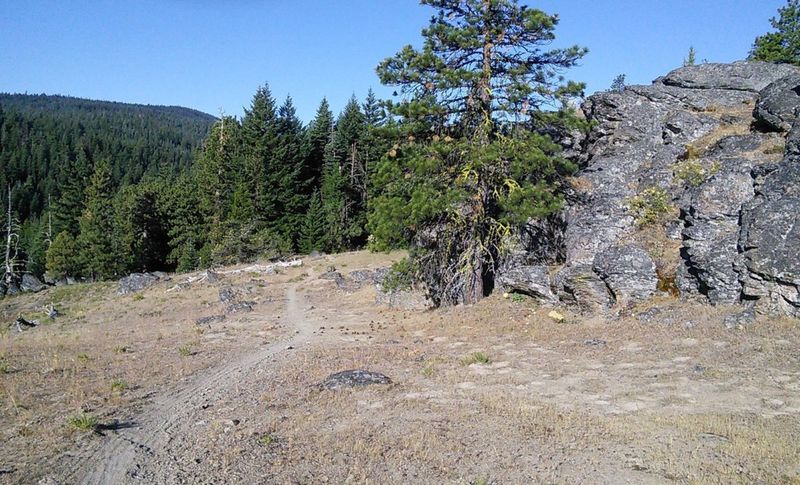 The trail varies from open areas with great views to deep forest creek crossings.