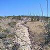 Section of bedrock pavement.