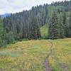 Descending through meadow in Deer Lick Creek drainage.