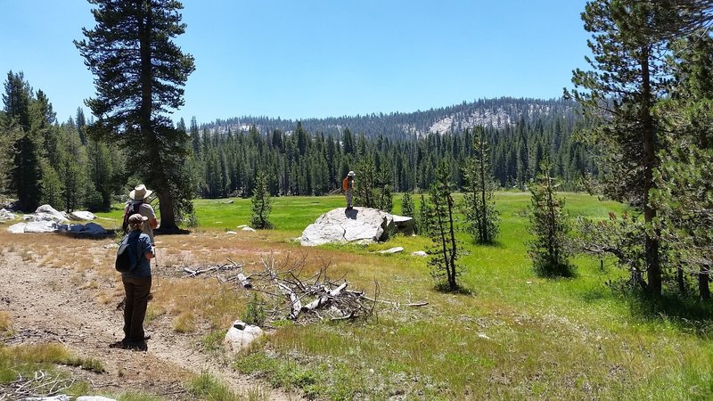 Hockett Meadow.