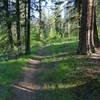 Mineral Point Trail 82, Lake Pend Oreille, Idaho.