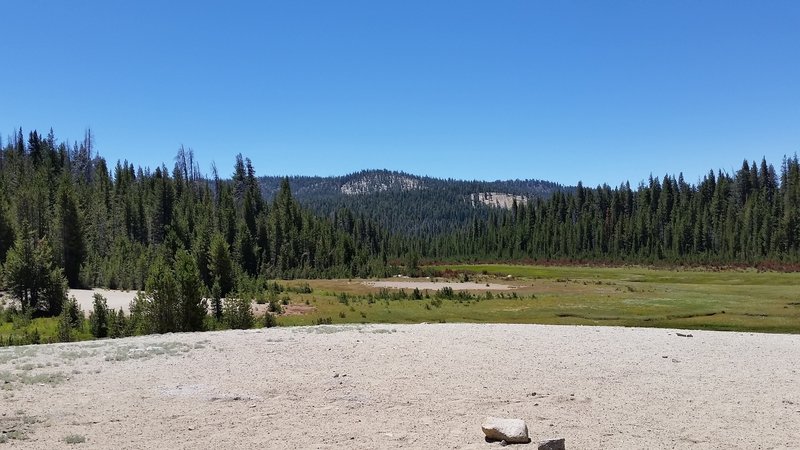 A look across the nearby Sand Meadow - A "Sand Dune" in the Sierra.