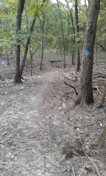 Along the Indian Point Trail