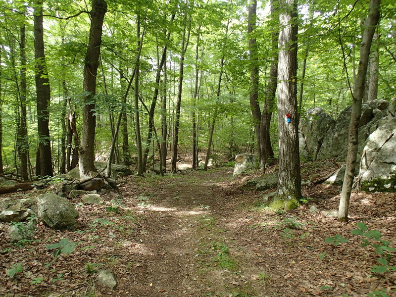 Stillwater/Pasture Loop trails