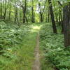 Stillwater/Pasture Loop trails