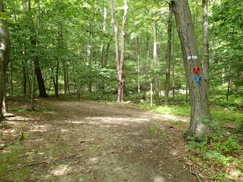 Stillwater/Pasture/Roaring Brook trail junction