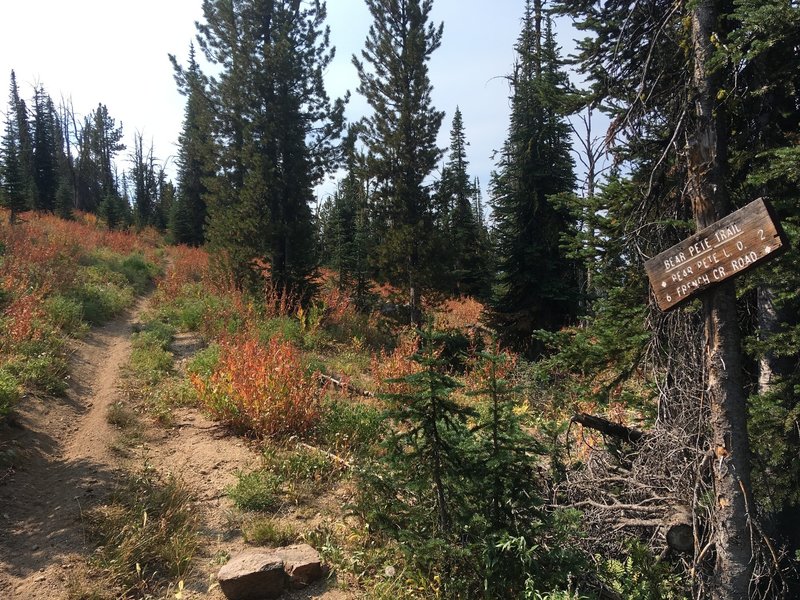 Pete Creek and Bear Pete Trail junction. The most scenic part of the course is just ahead.