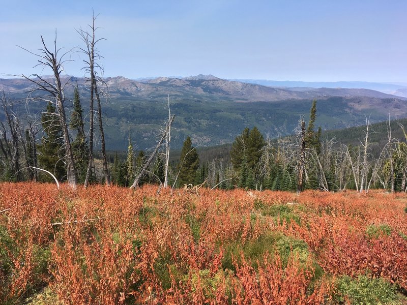 Looking west across the French Creek drainage. One of many great views from the Bear Pete Trail.