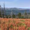 Looking west across the French Creek drainage. One of many great views from the Bear Pete Trail.