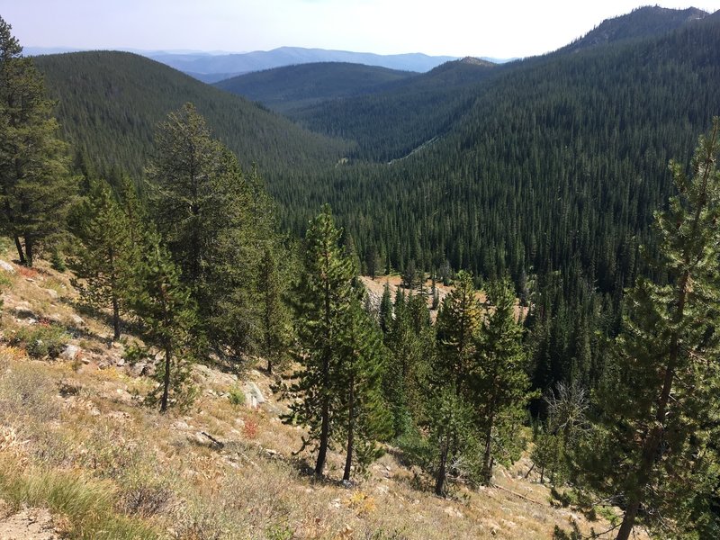 Looking down Nethker Creek, it's mostly downhill from this point.