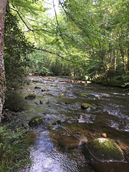 Deep Creek Trail