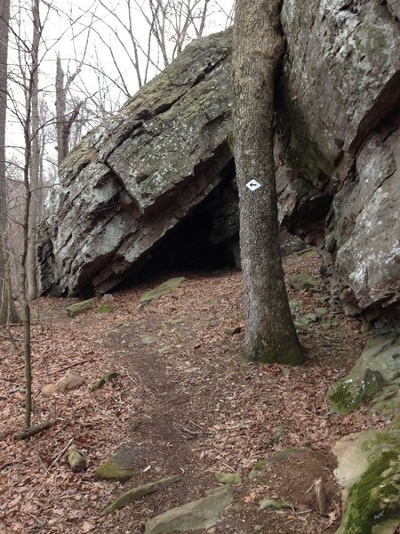 The trails at Lincoln Lake are well marked.