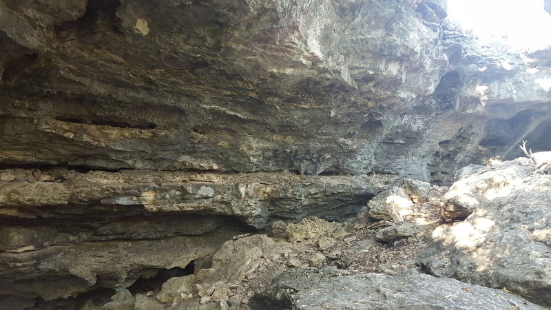 View from inside the cave, just standing at the mouth, of Cub Cave