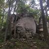 Starved Bear Staircase rising from the forest floor