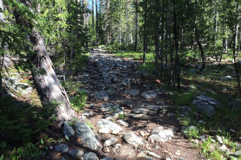 Rocky descent into Elk Meadows.