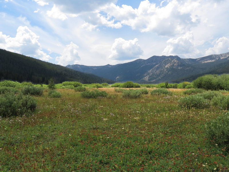 Elk Meadow from the Elk Meadows Trail.