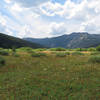 Elk Meadow from the Elk Meadows Trail.