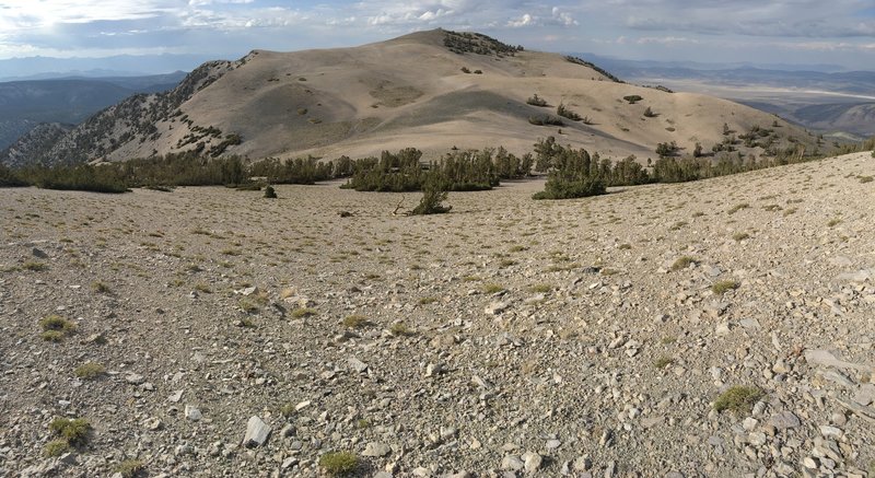 Looking across the summit playeau toward the north summit of Glass Mountain.