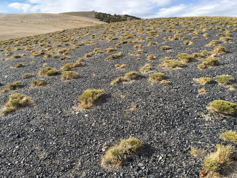 Volcanic glass on summit plateau of Glass Mountain.