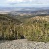 Adobe Valley from Glass Mountain Trail.