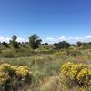 Looking out towards the San Luis Valley.