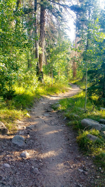 Four Mile Falls Trailhead