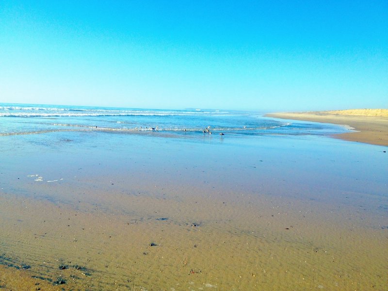 Where the Tijuana River meets the Pacific Ocean. Taken at low tide in the Fall.