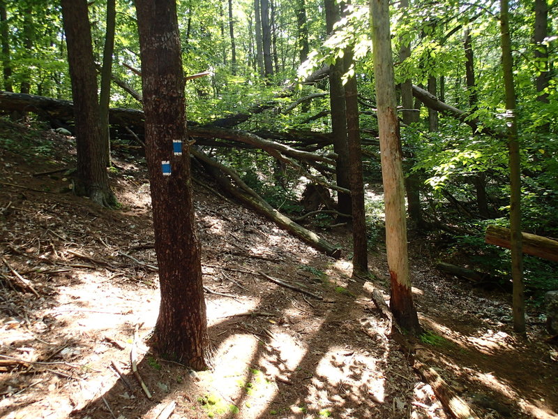 Blue-white connector trail