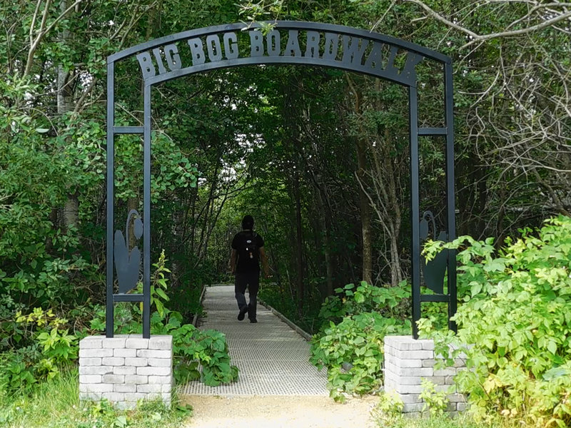 The entrance to the Big Bog Boardwalk.