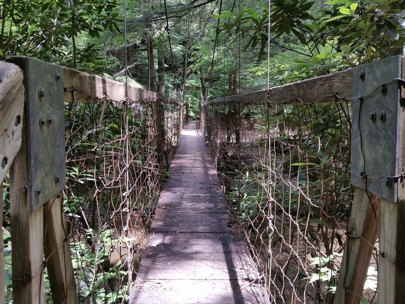 Suspension bridge over Sinking Creek.