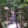 Suspension bridge over Sinking Creek.