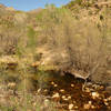 Sabino Creek.