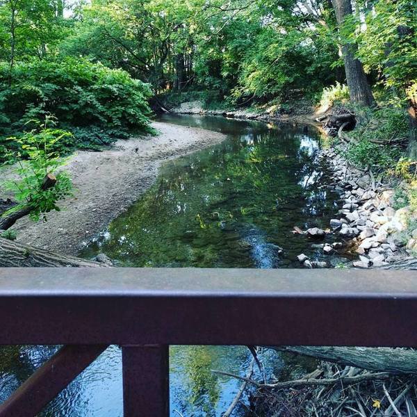 A view of Cold Creek from the bridge.