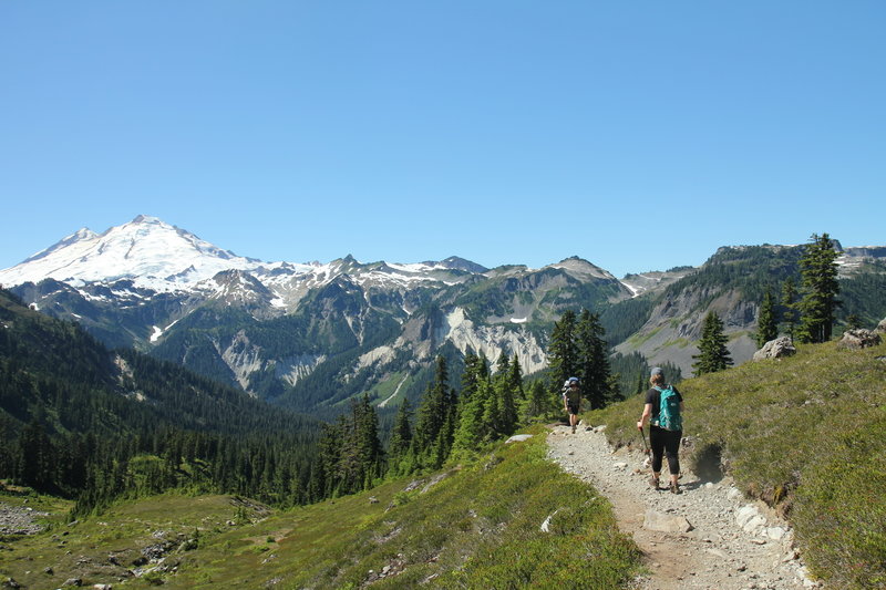 Mount Baker, meadows and trail from Lake Ann trail