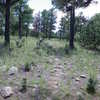 Typical trail condition (faint) and scenery on the mesa loop.