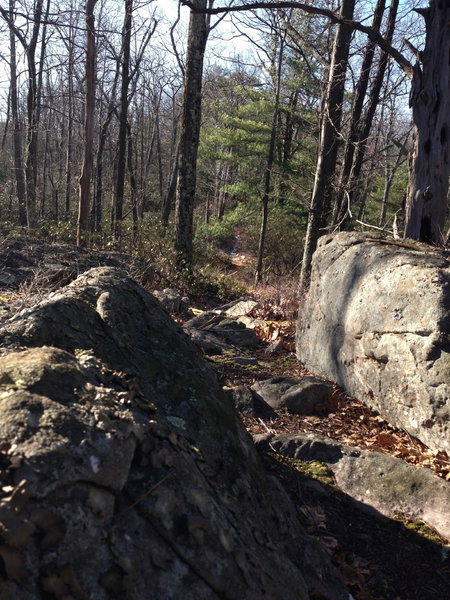 Typical rocky sections on Little Mountain, as the trail splits the difference between the outcroppings.