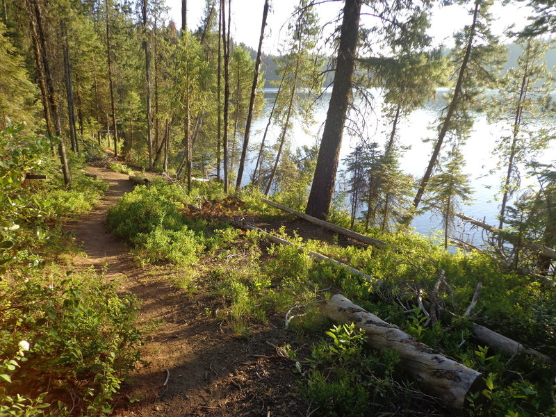The Sagehen Reservoir Trail skirts the lake almost the entire way.
