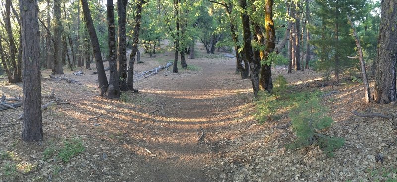 Beginning of the trail to Snow Mountain