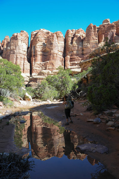 Enjoying the beautiful views in Elephant Canyon