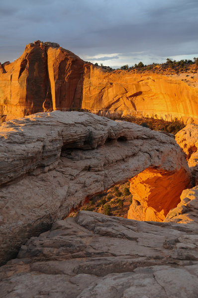 Mesa Arch during the early morning golden hour