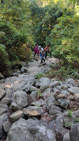 An unexpected and family-friendly minor rock scramble off the Summit Trail.