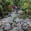 An unexpected and family-friendly minor rock scramble off the Summit Trail.