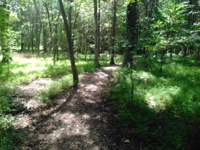 Ayr Mount section of the Mountain to Sea Trail.