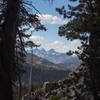 Snowy mountains through the trees on Emerald Lake Trail.