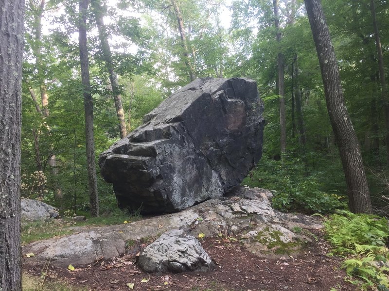 Dinosaur rock. The trees give some perspective on how big it is.