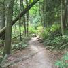 Looking up the trail. You go up and up!